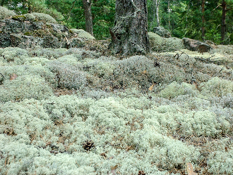 DSCF0044.jpg DSCF0044