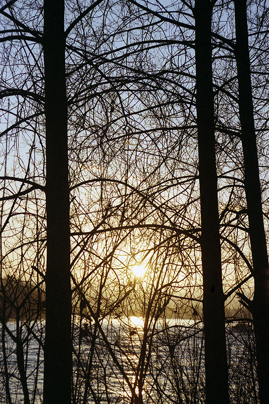 Firsts001-wp.jpg Firsts001 wp