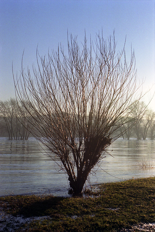 Firsts003-wp.jpg Firsts003 wp