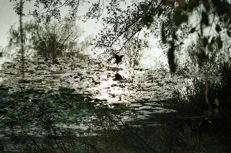 Firsts004-wp.jpg Firsts004 wp