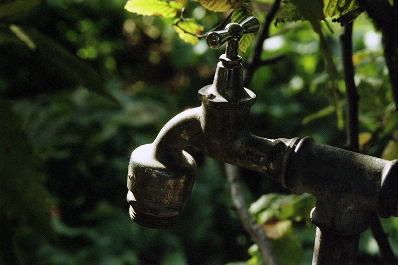 Hombroich017-wp.jpg Hombroich017 wp