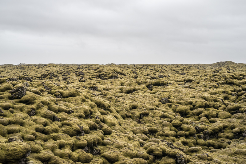 DSC_7878.jpg DSC 7878