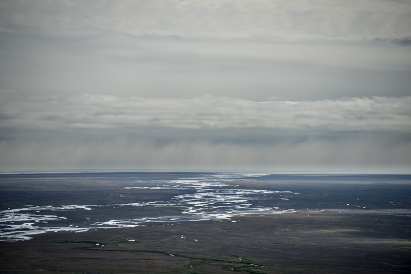 DSC_7979.jpg DSC 7979