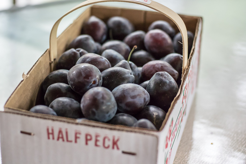 DSC_0858.jpg DSC 0858