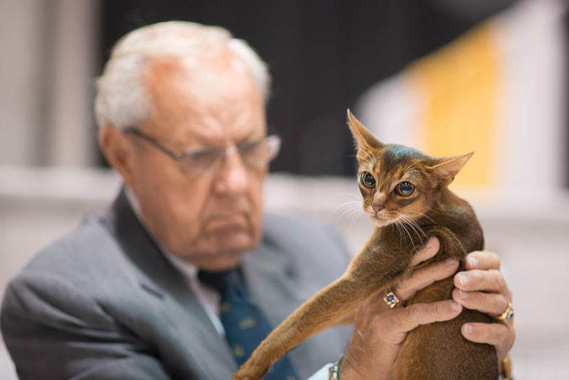 DSC_4533.jpg DSC 4533