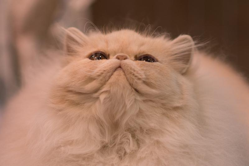 DSC_4844.jpg DSC 4844