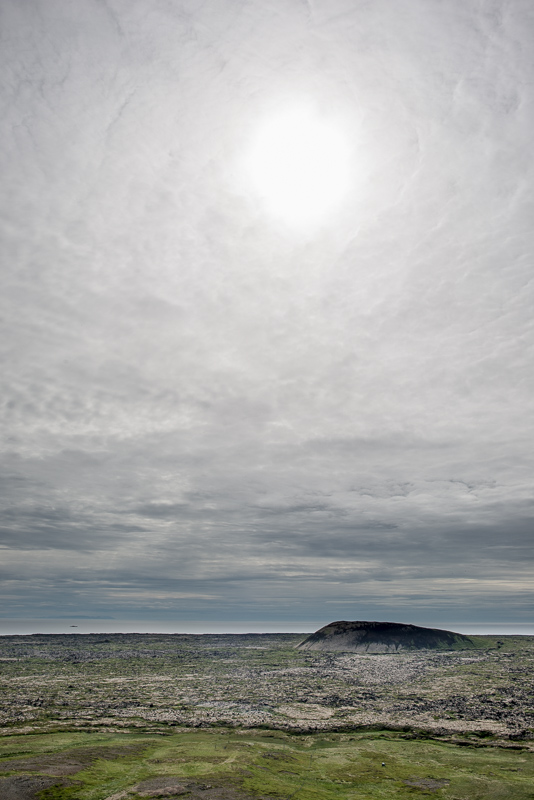 DSC_8611.jpg DSC 8611