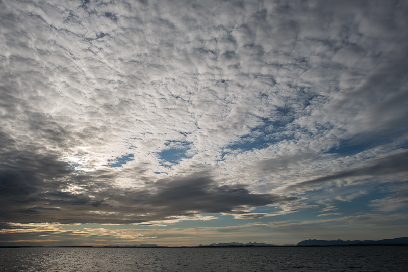 DSC_8977.jpg DSC 8977