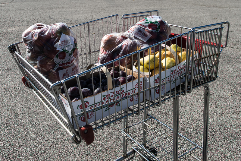 DSC_9502.jpg DSC 9502