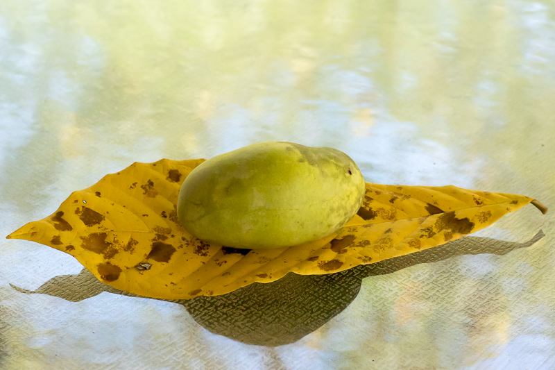 DSC_0889.jpg DSC 0889