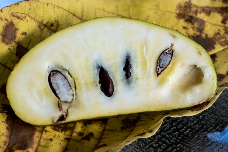 DSC_0891.jpg DSC 0891