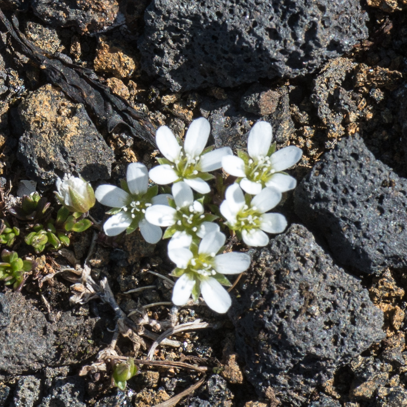 DSC_7404.jpg DSC 7404