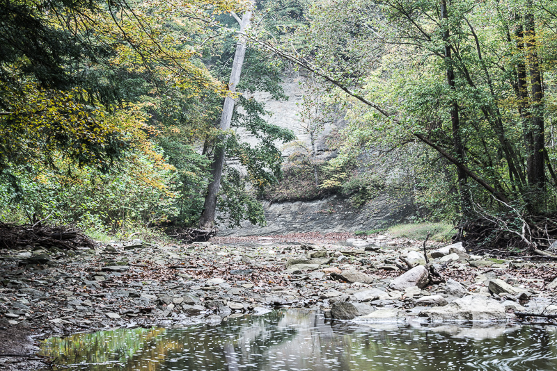 DSC_9521.jpg DSC 9521