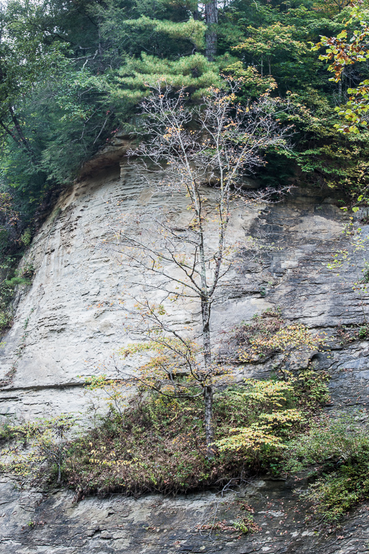 DSC_9526.jpg DSC 9526