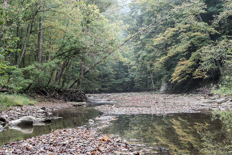 DSC_9527.jpg DSC 9527