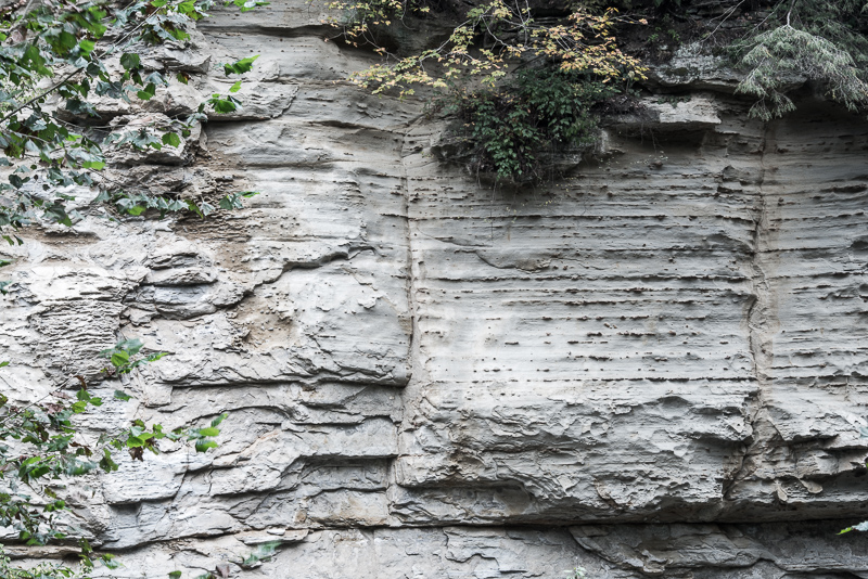 DSC_9537.jpg DSC 9537