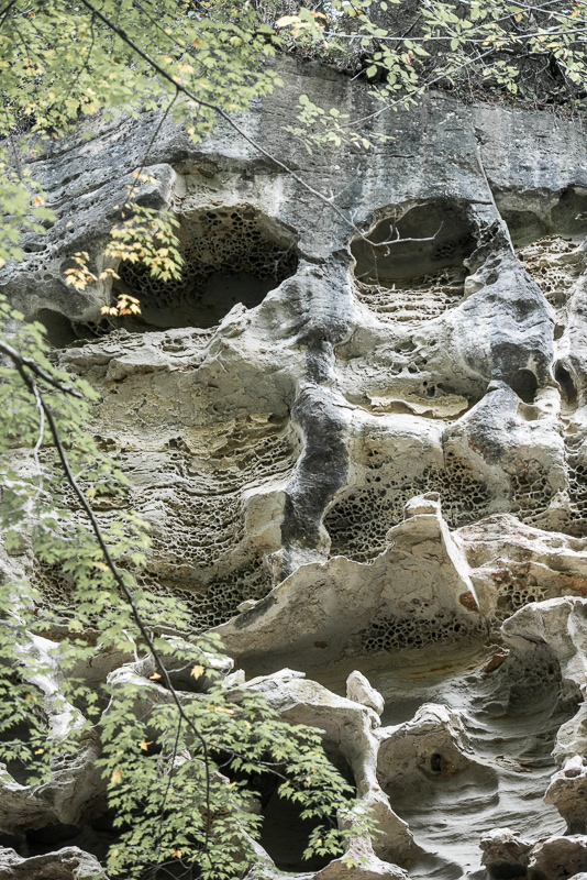 DSC_9617.jpg DSC 9617