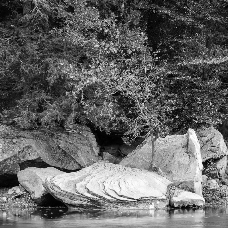 DSC_9785.jpg DSC 9785