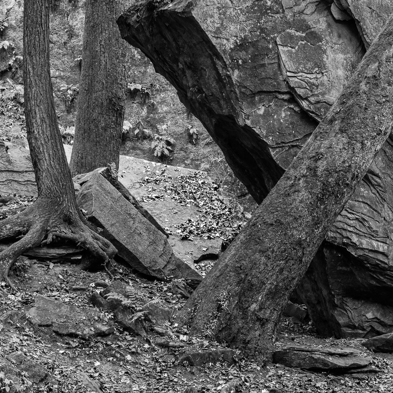 DSC_9805.jpg DSC 9805