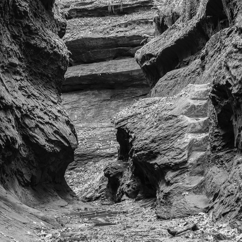 DSC_9824.jpg DSC 9824