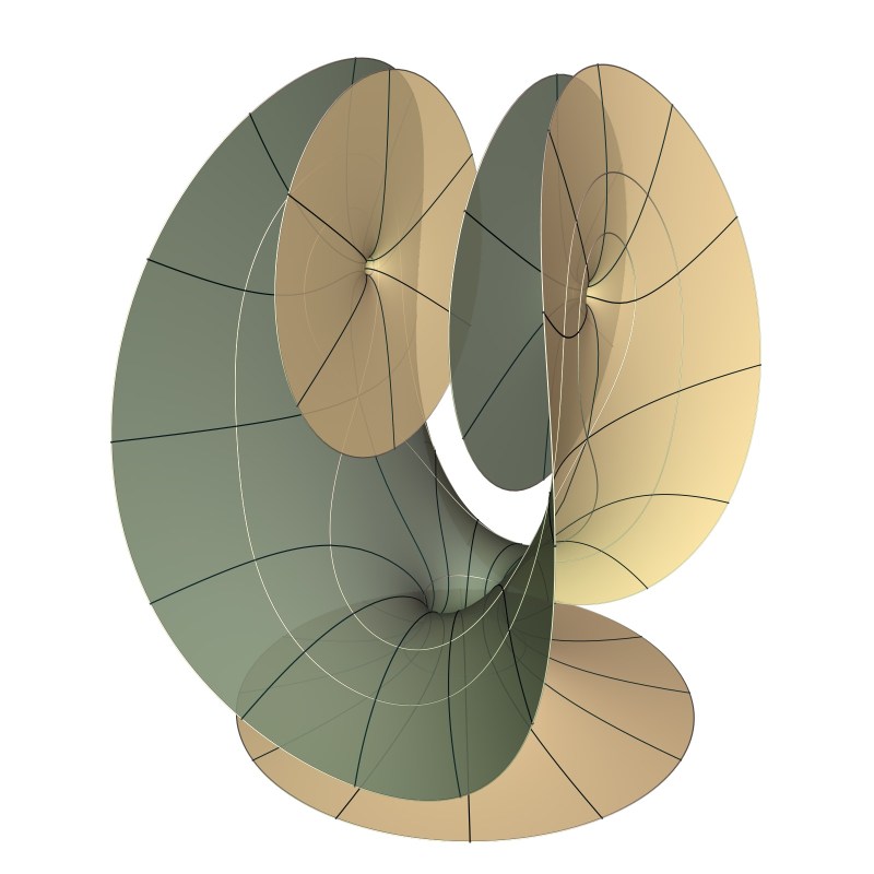 cat3enneper1.jpg Cat3enneper1