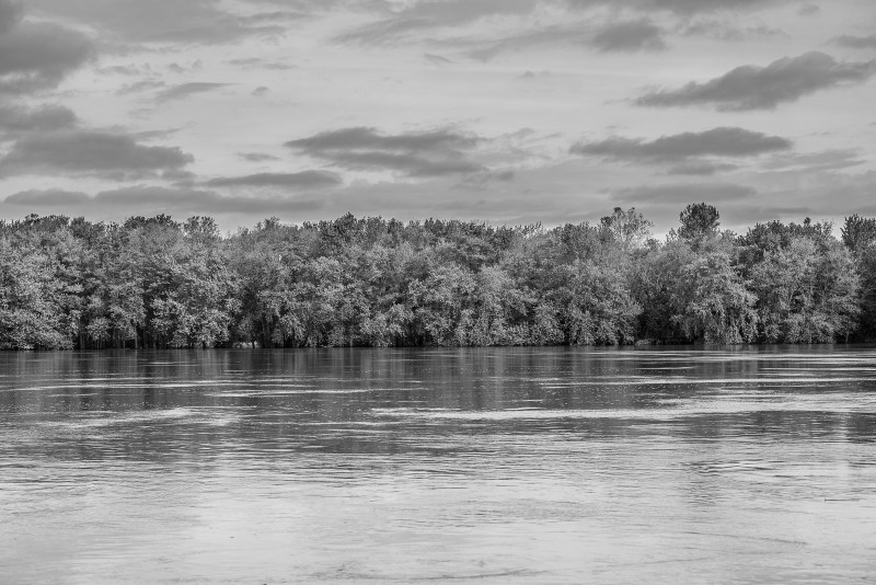 DSC_2750.jpg DSC 2750