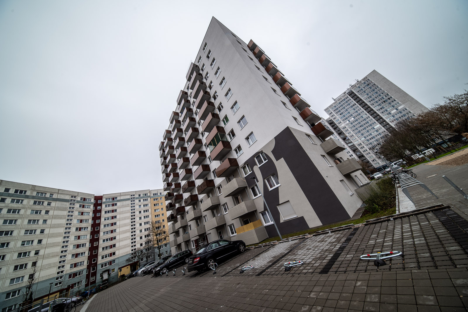 DSC_4376.jpg DSC 4376