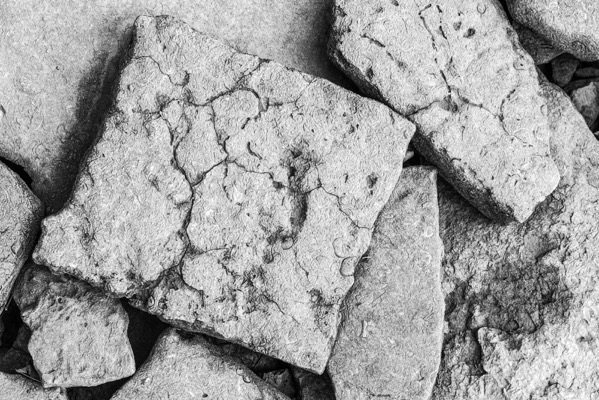 DSC_4830.jpg DSC 4830