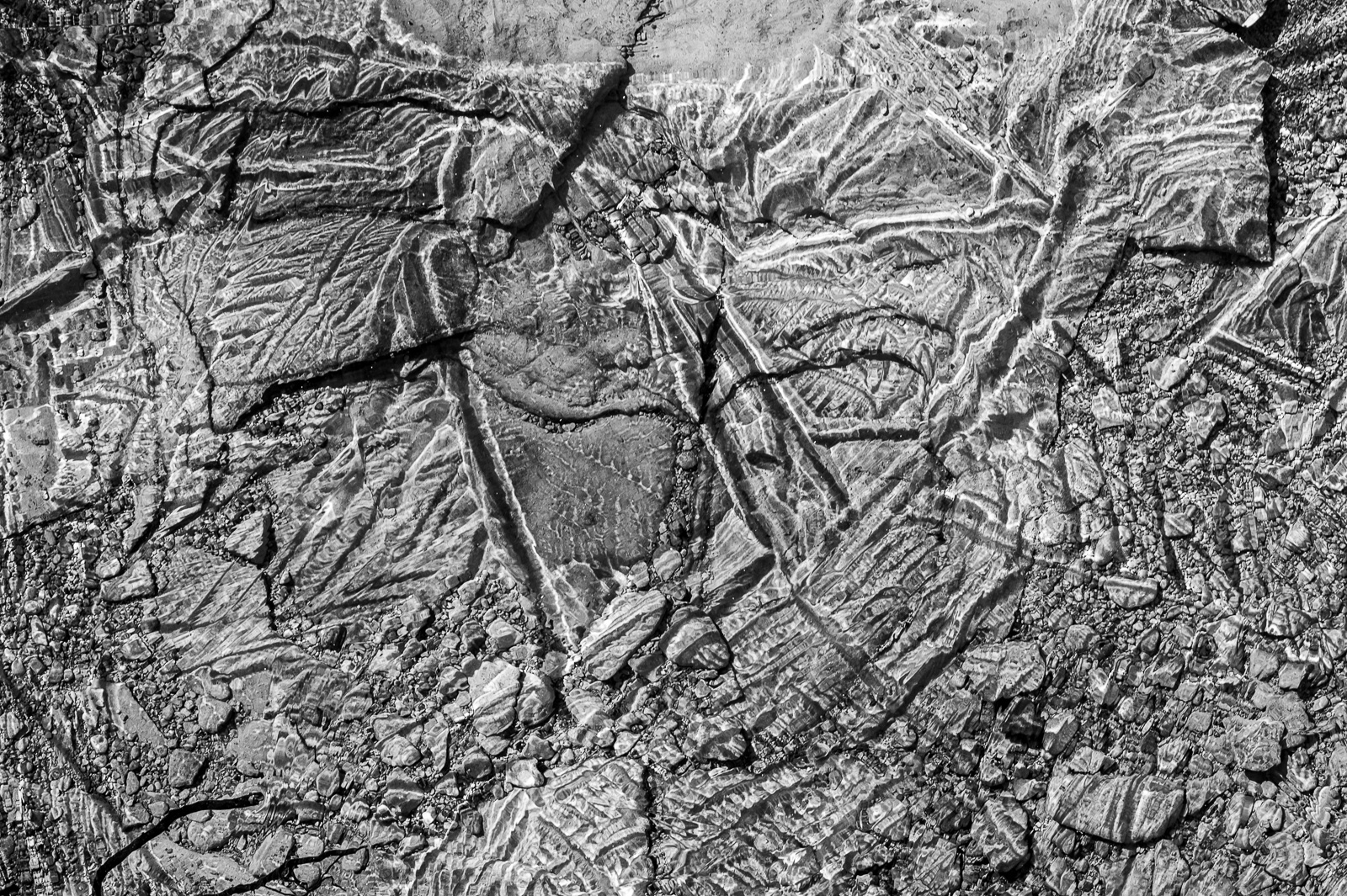 DSC_2392.jpg DSC 2392