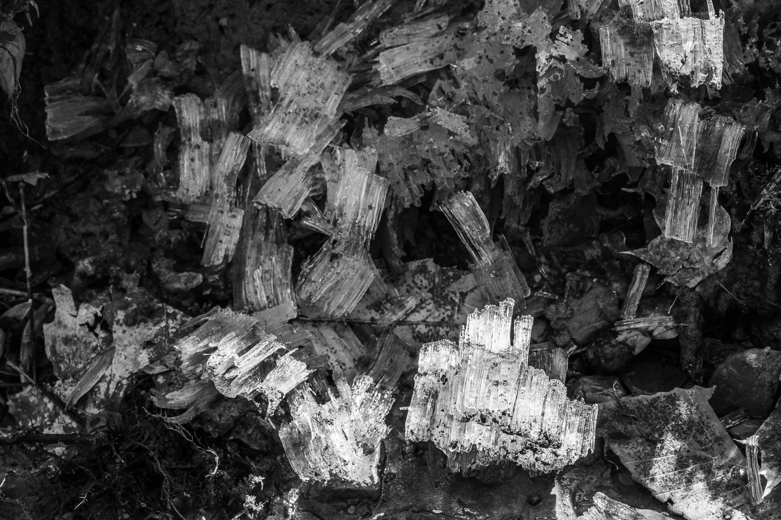 DSC_2456.jpg DSC 2456