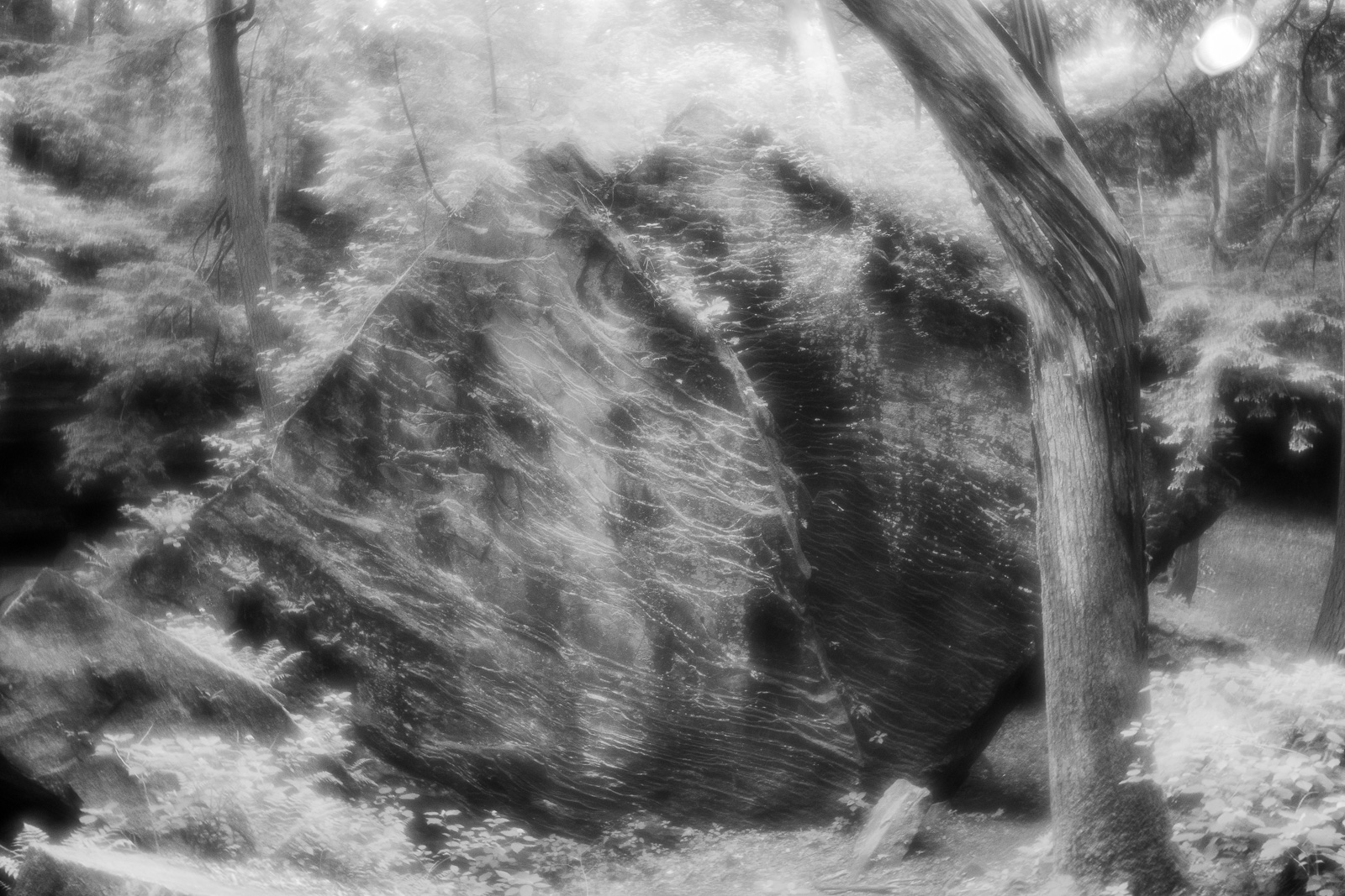 DSC_4305.jpg DSC 4305