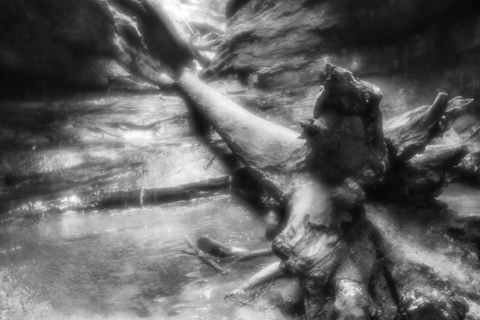 DSC_4320.jpg DSC 4320