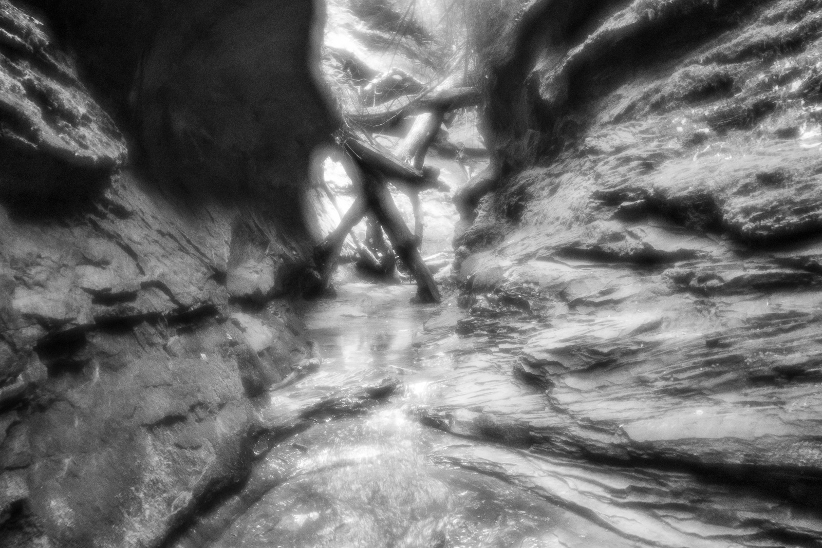 DSC_4321.jpg DSC 4321