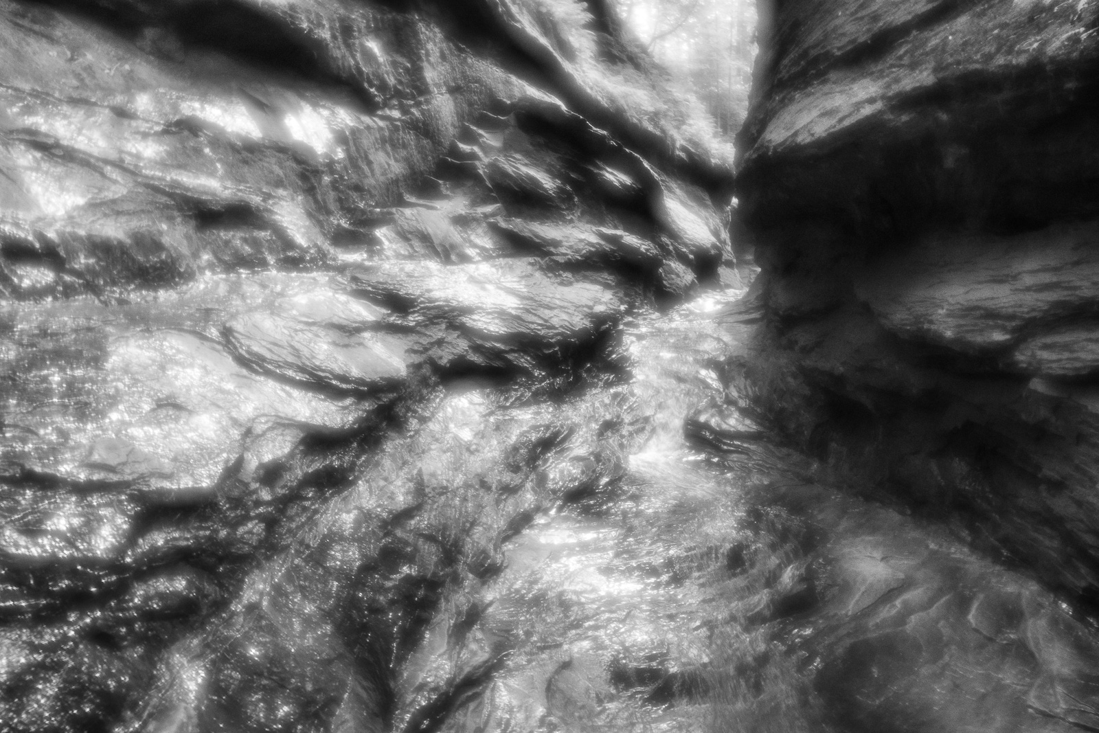 DSC_4323.jpg DSC 4323