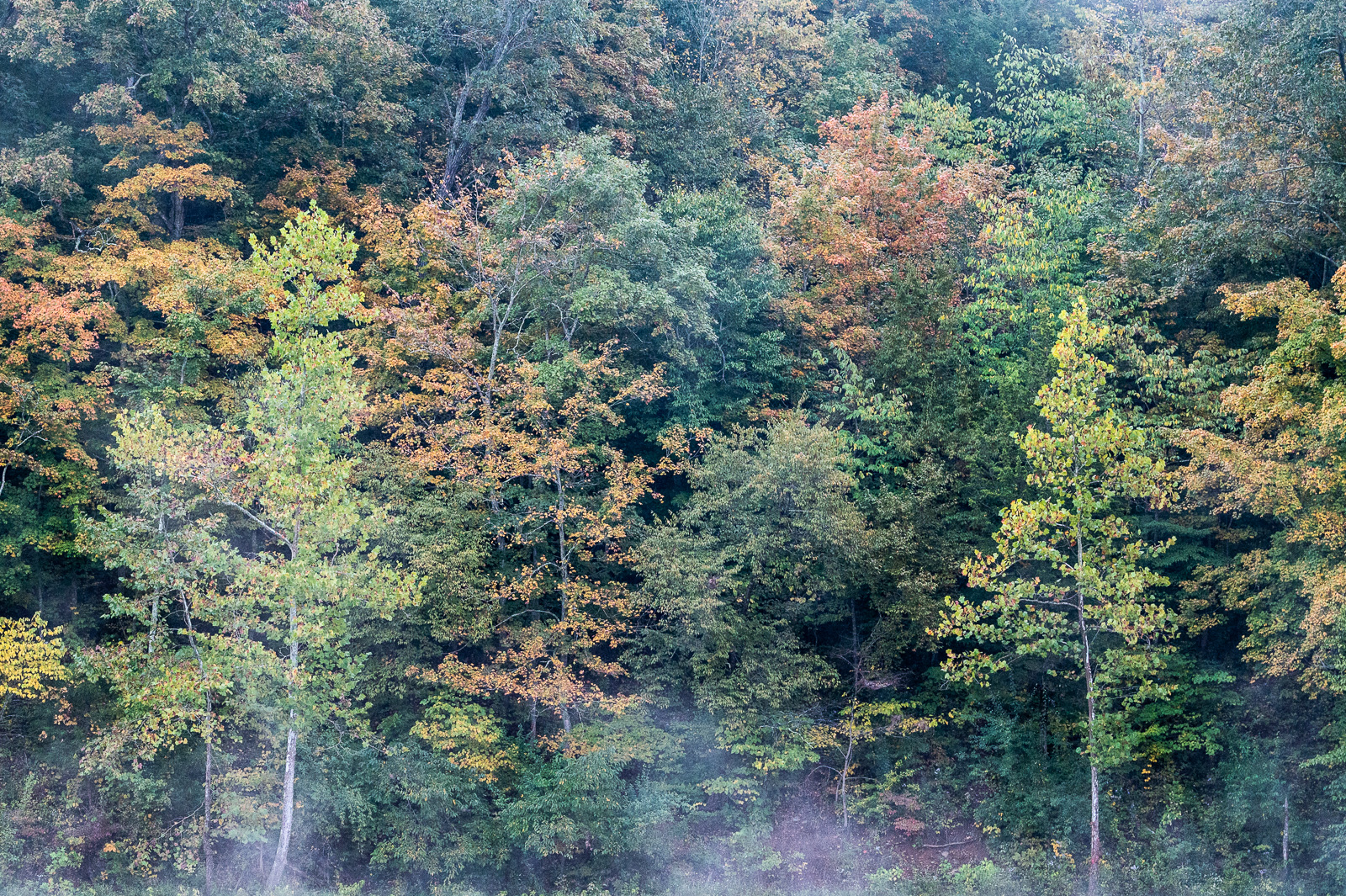 DSC_4979.jpg DSC 4979