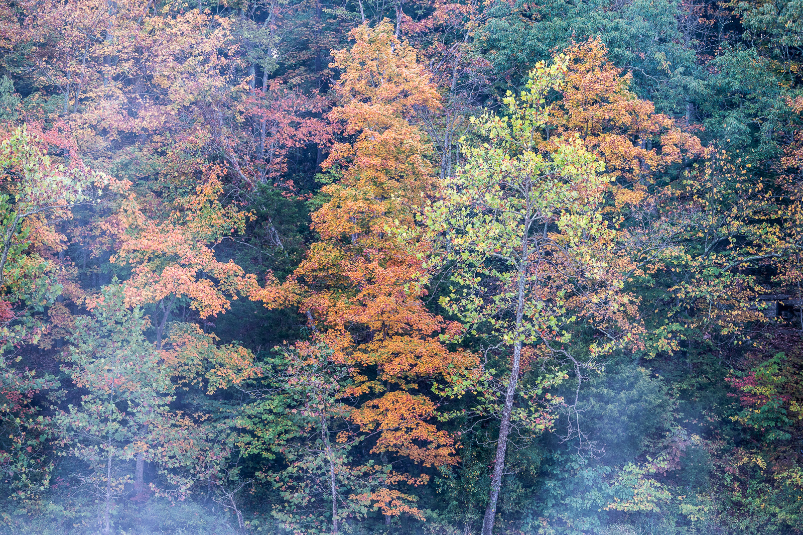 DSC_5040.jpg DSC 5040