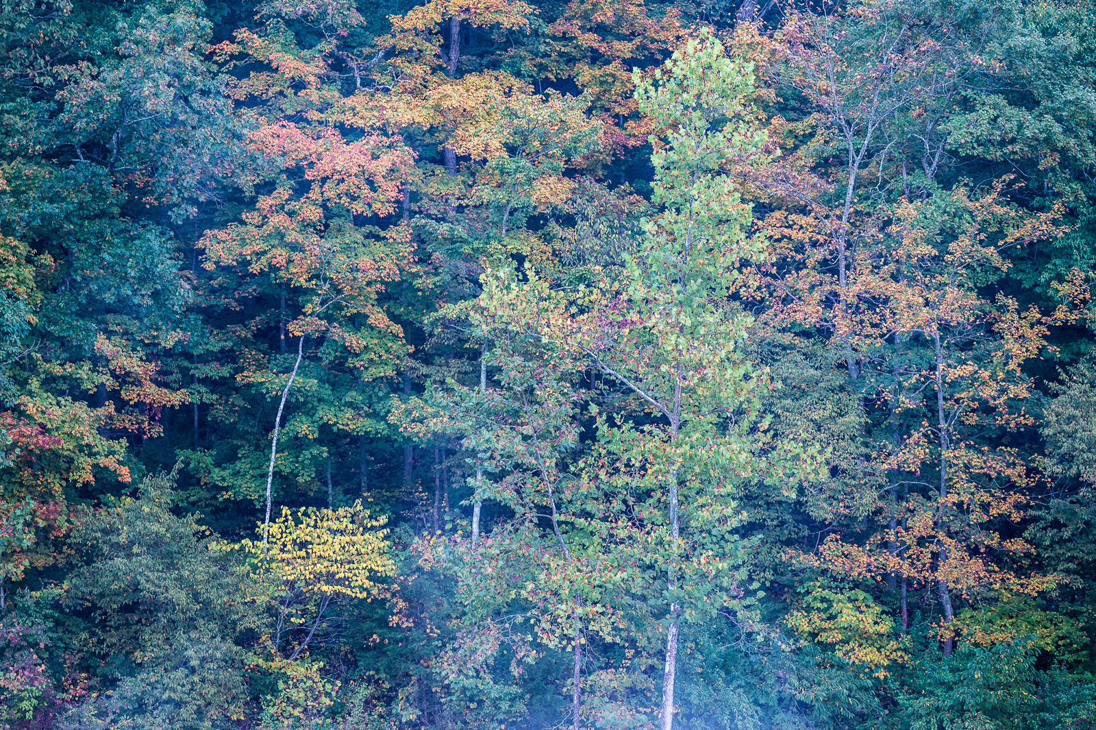 DSC_5047.jpg DSC 5047