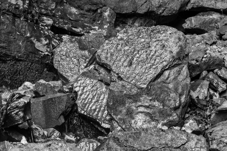 DSC_2823.jpg DSC 2823